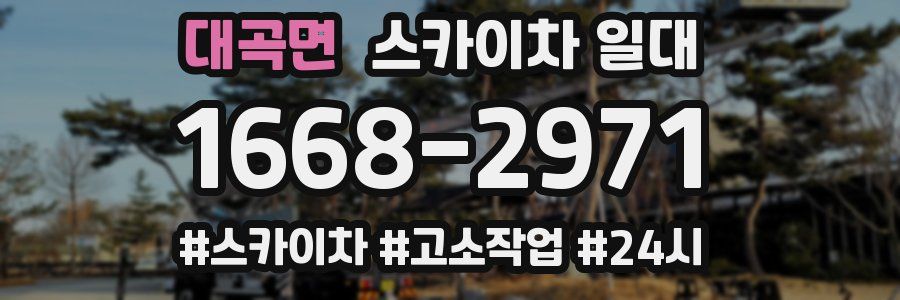 대곡면 스카이차 일대