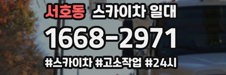 서호동 스카이차 일대