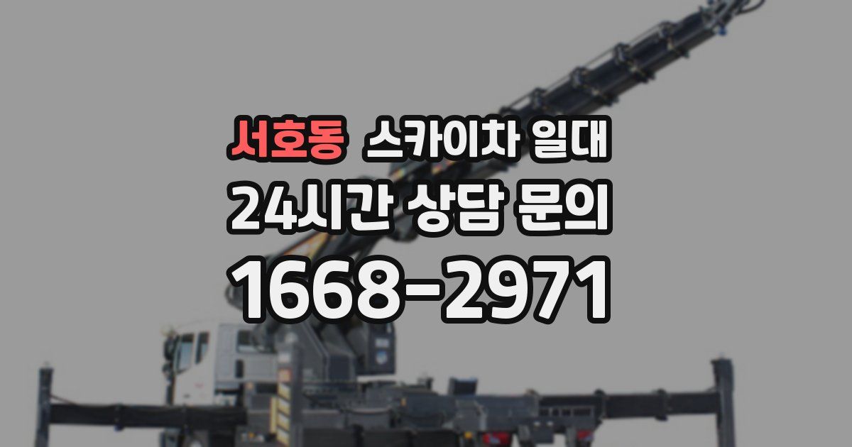 서호동 스카이차 일대