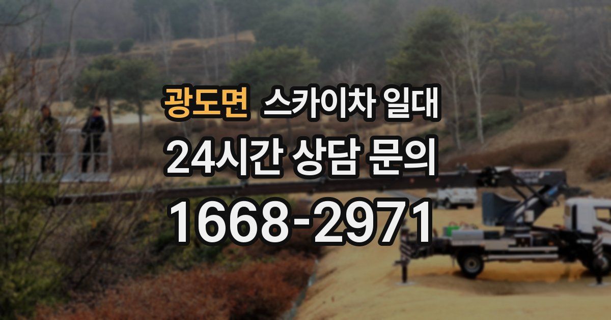 광도면 스카이차 일대
