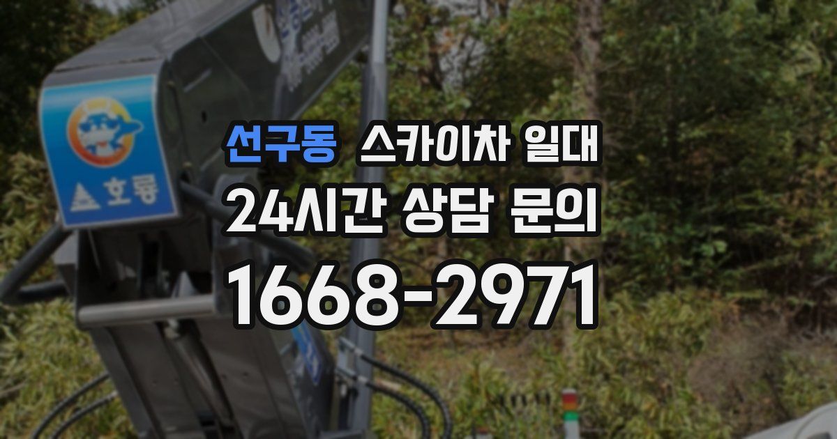선구동 스카이차 일대