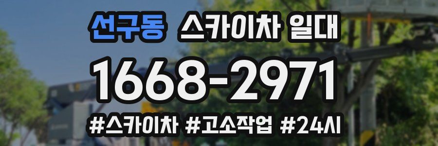 선구동 스카이차 일대