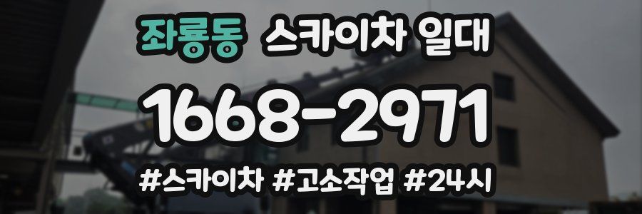좌룡동 스카이차 일대