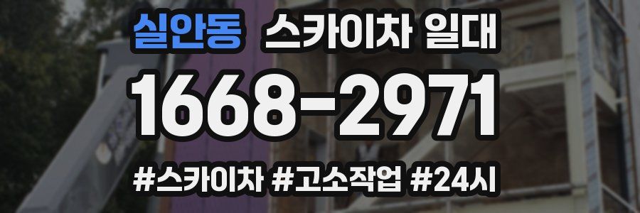 실안동 스카이차 일대