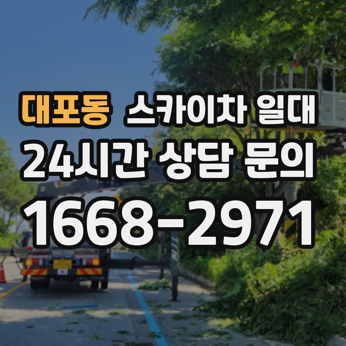 대포동 스카이차 일대