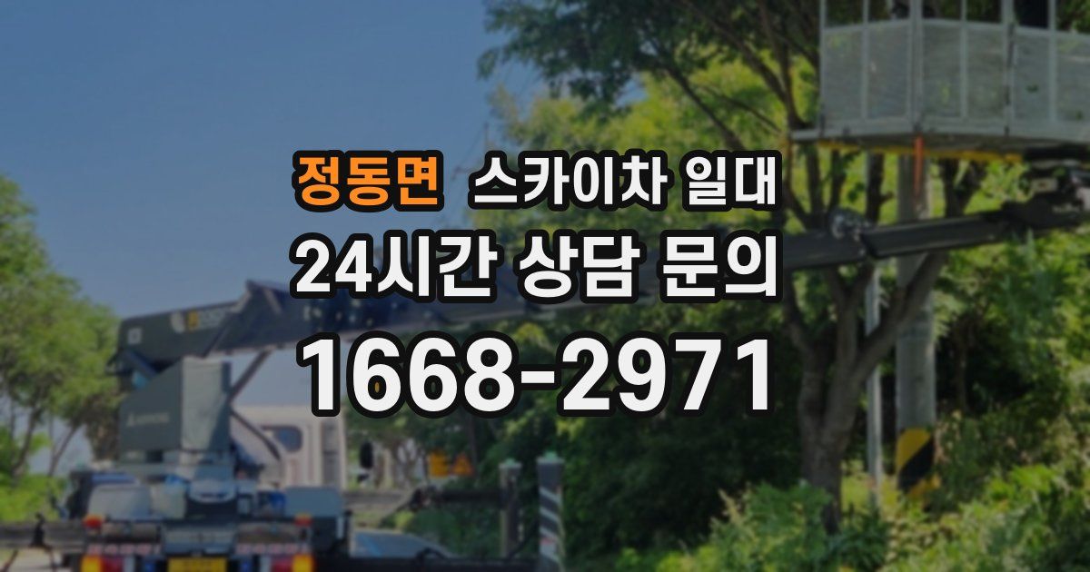 정동면 스카이차 일대