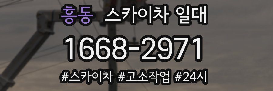 흥동 스카이차 일대