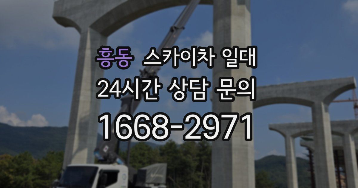 흥동 스카이차 일대