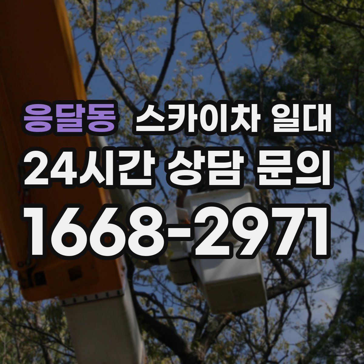 응달동 스카이차 일대
