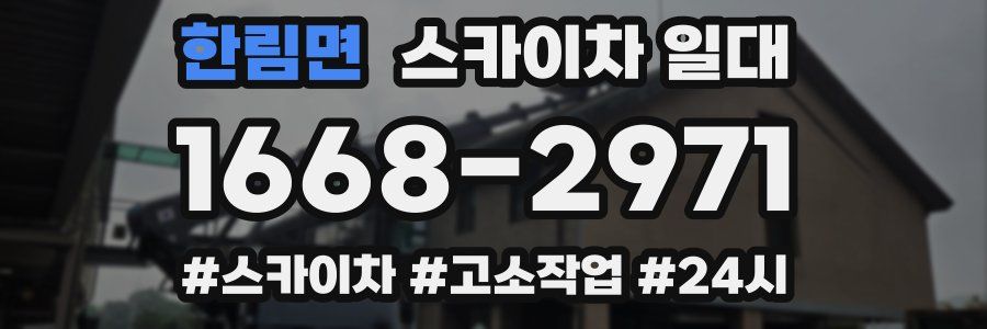 한림면 스카이차 일대