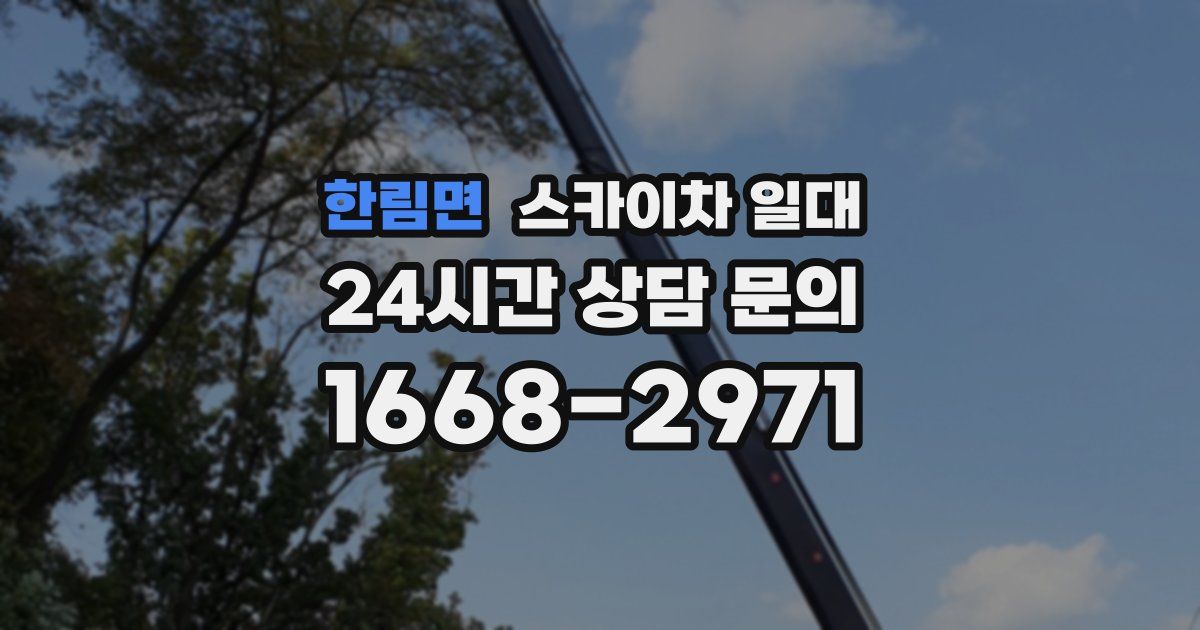 한림면 스카이차 일대