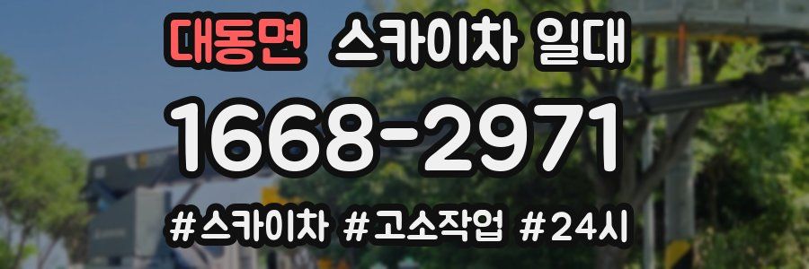 대동면 스카이차 일대