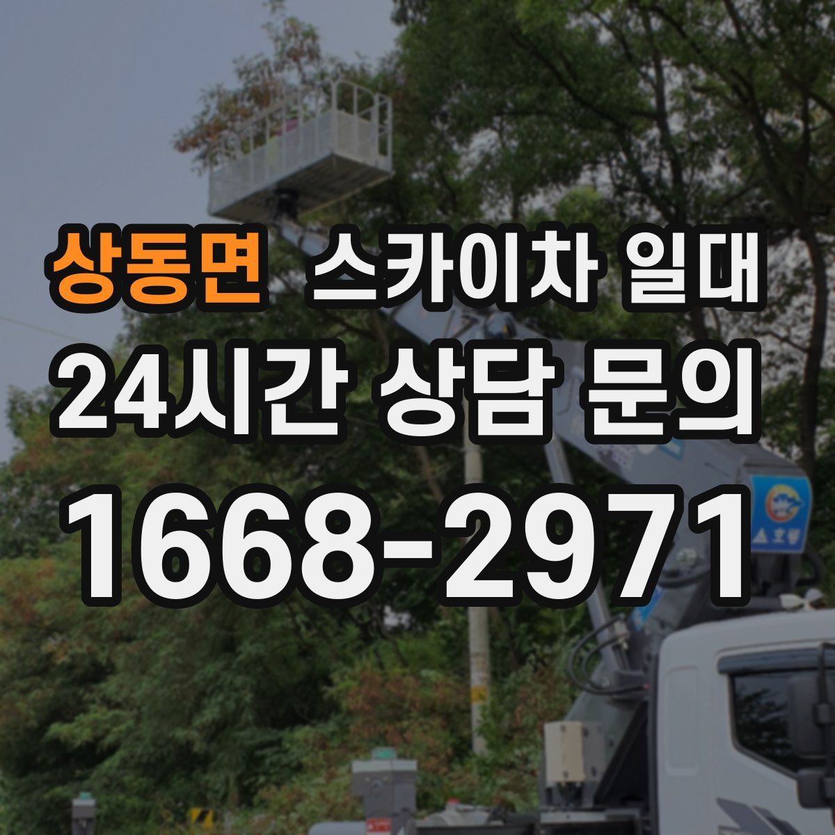 상동면 스카이차 일대
