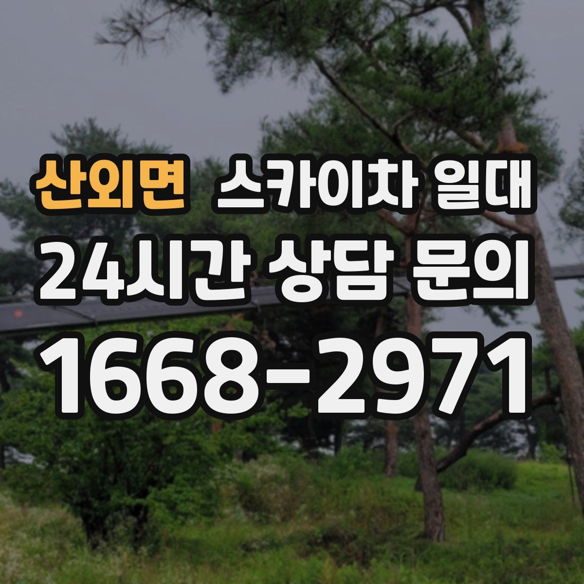 산외면 스카이차 일대