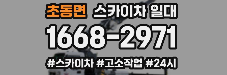 초동면 스카이차 일대