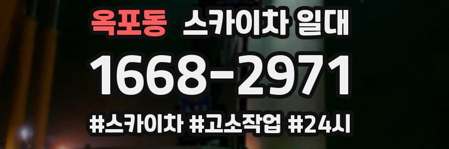 옥포동 스카이차 일대