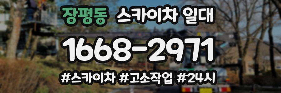 장평동 스카이차 일대