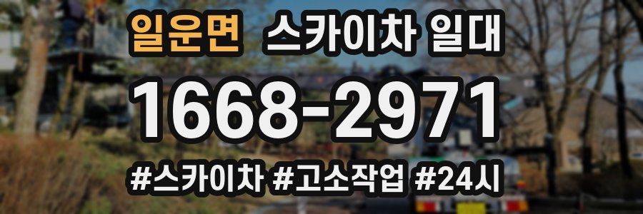 일운면 스카이차 일대
