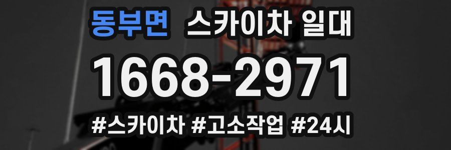 동부면 스카이차 일대