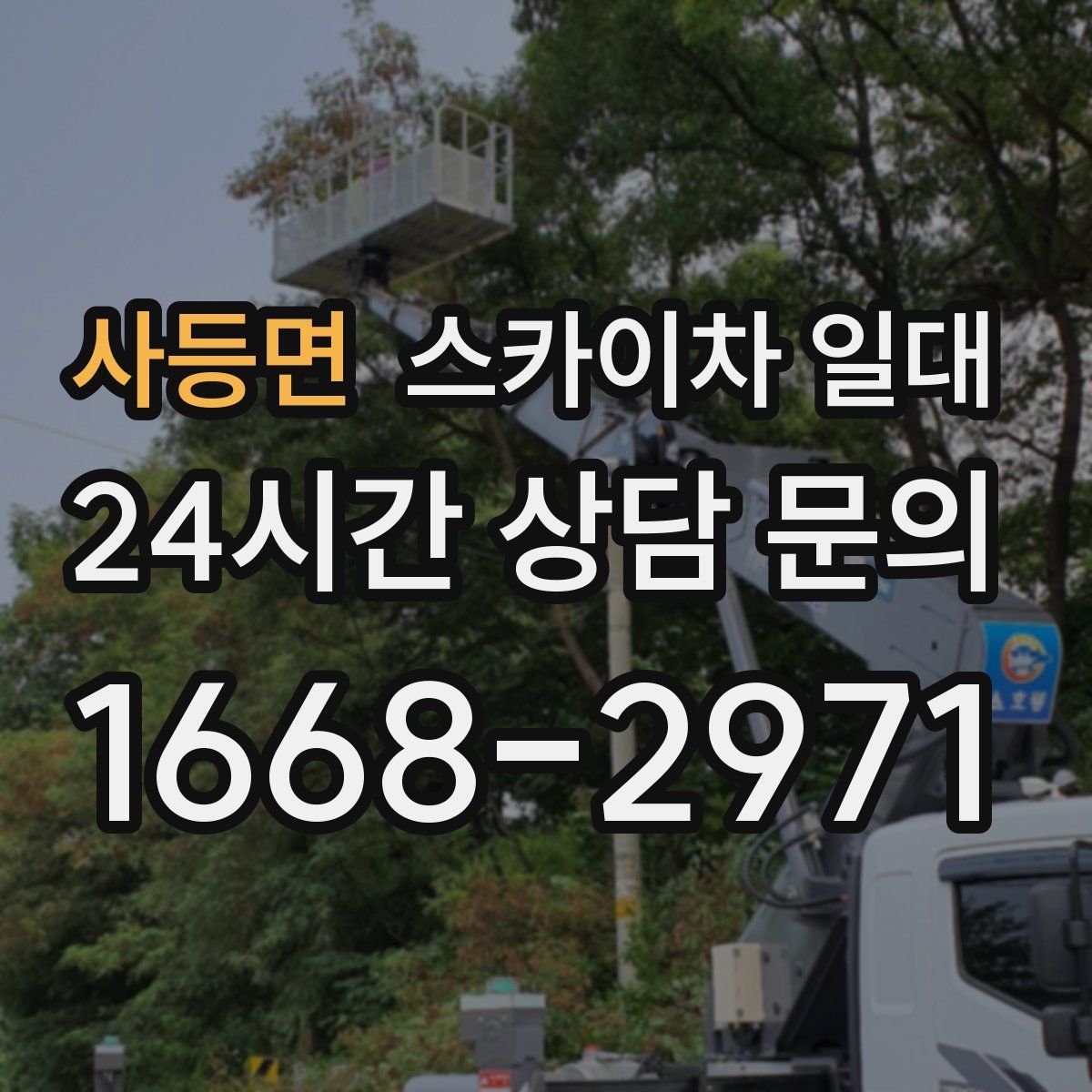 사등면 스카이차 일대