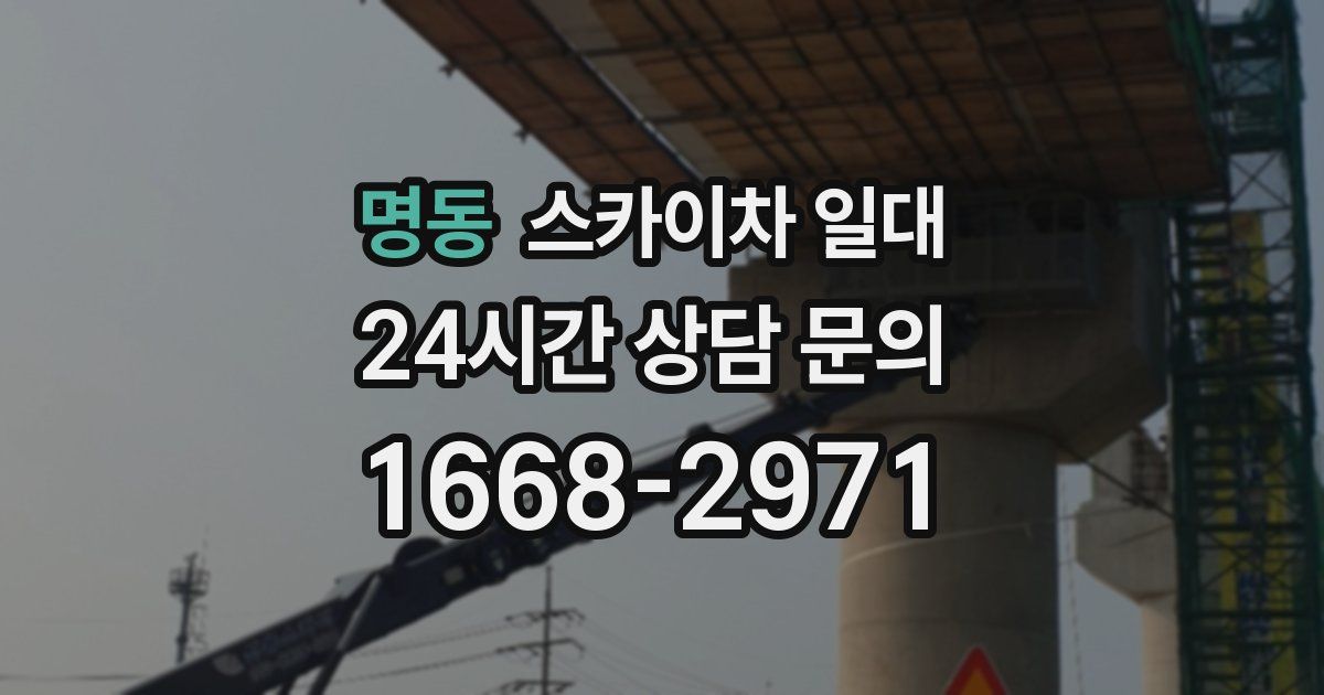 명동 스카이차 일대