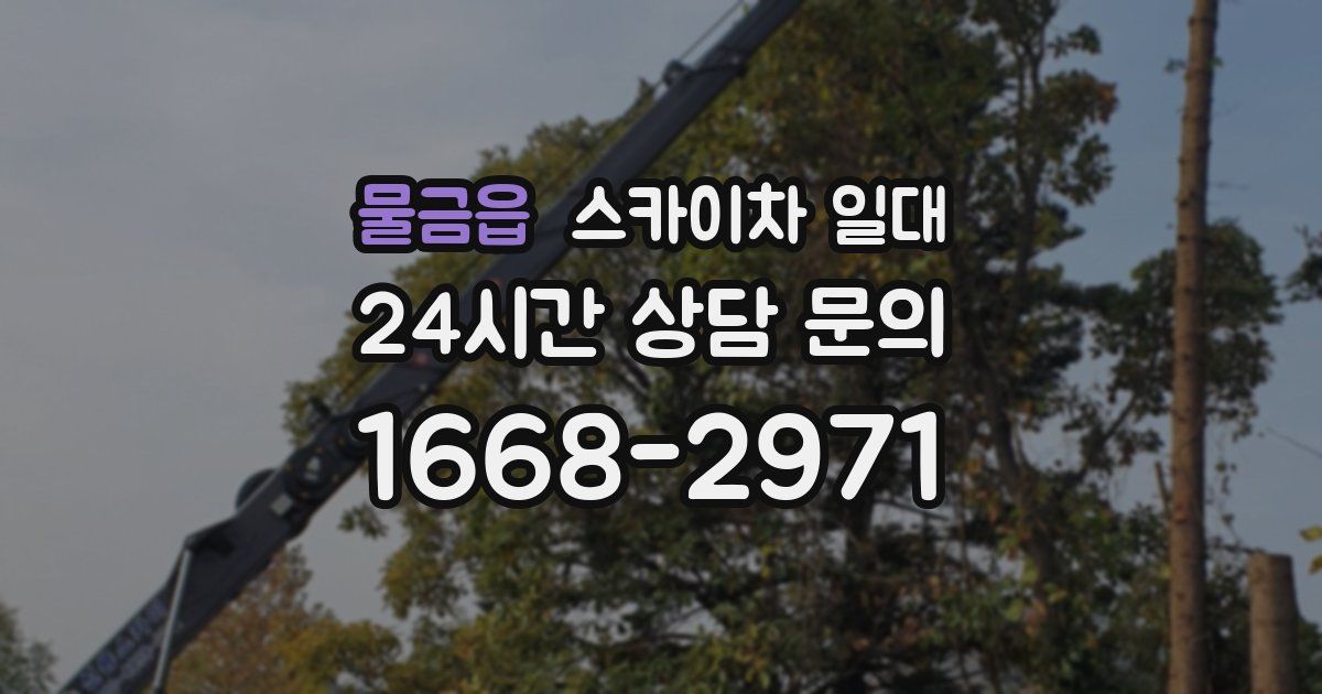 물금읍 스카이차 일대