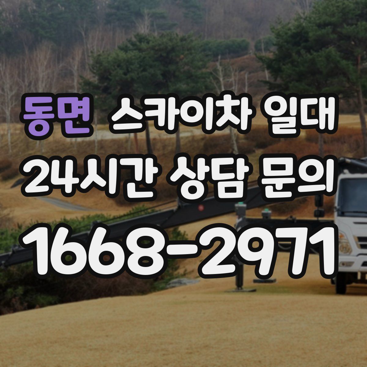 동면 스카이차 일대