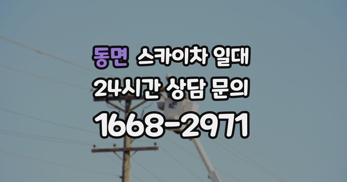 동면 스카이차 일대