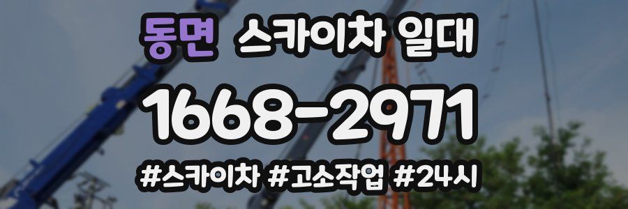 동면 스카이차 일대