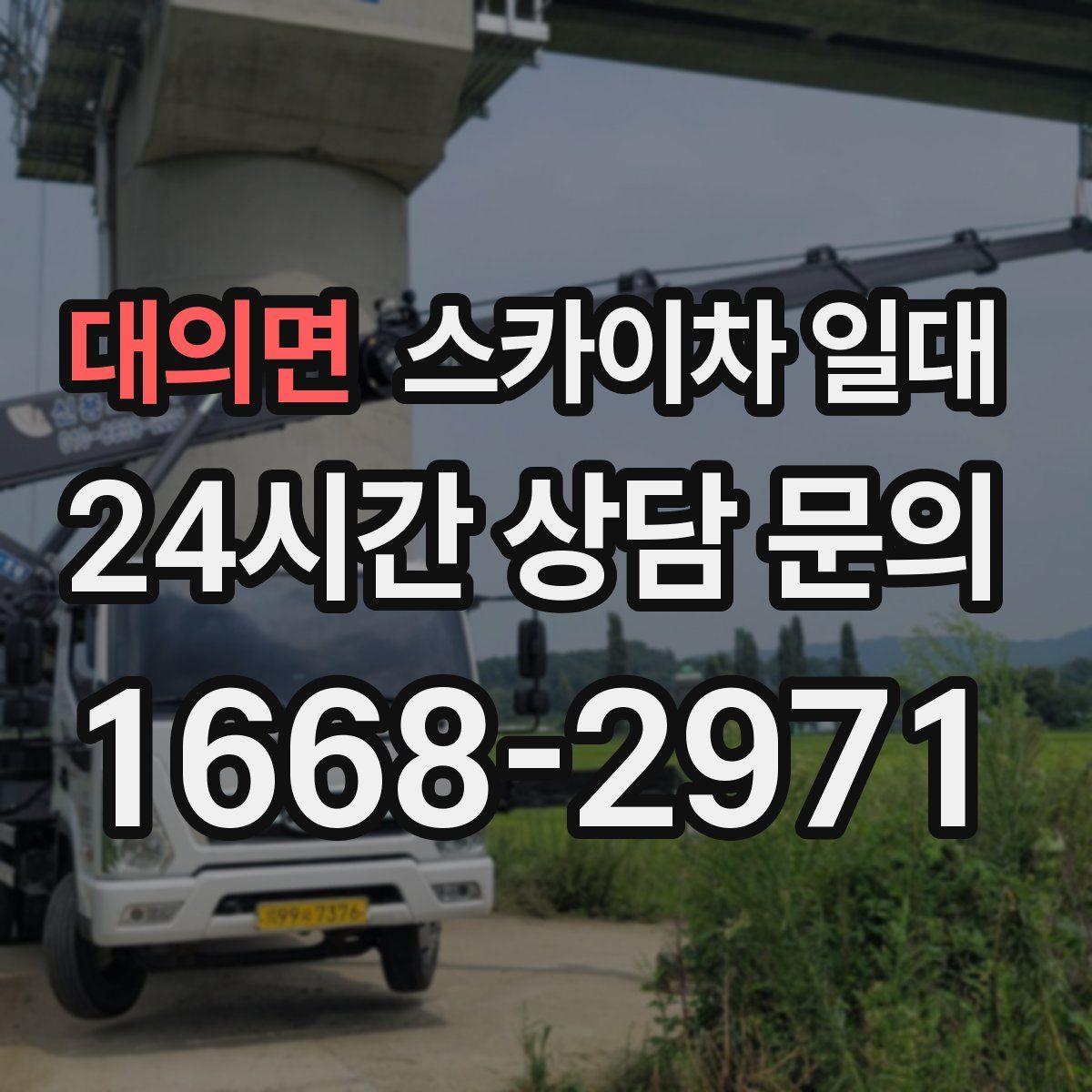 대의면 스카이차 일대