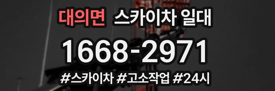 대의면 스카이차 일대