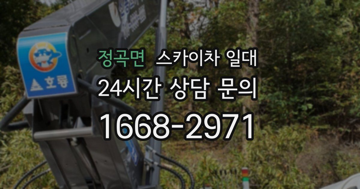 정곡면 스카이차 일대