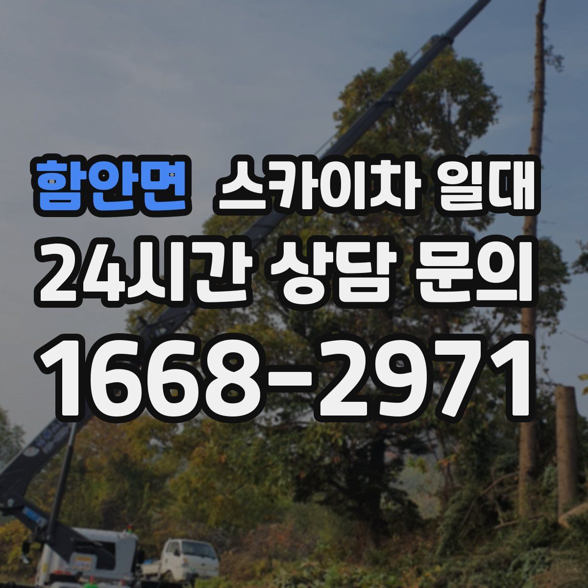 함안면 스카이차 일대