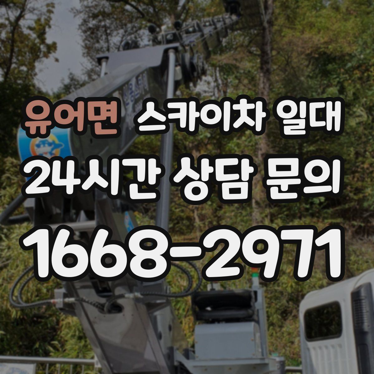 유어면 스카이차 일대