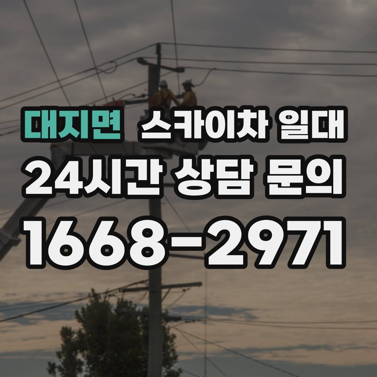 대지면 스카이차 일대