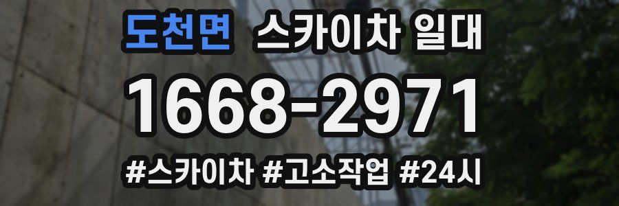도천면 스카이차 일대