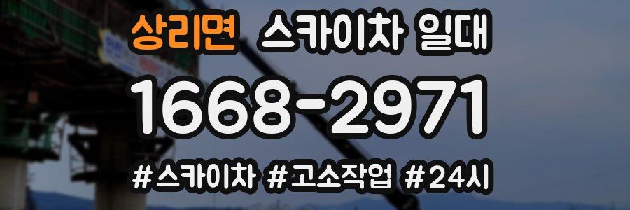 상리면 스카이차 일대