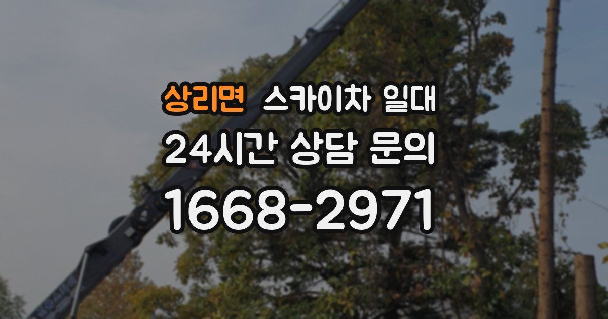 상리면 스카이차 일대