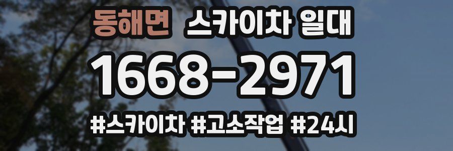 동해면 스카이차 일대