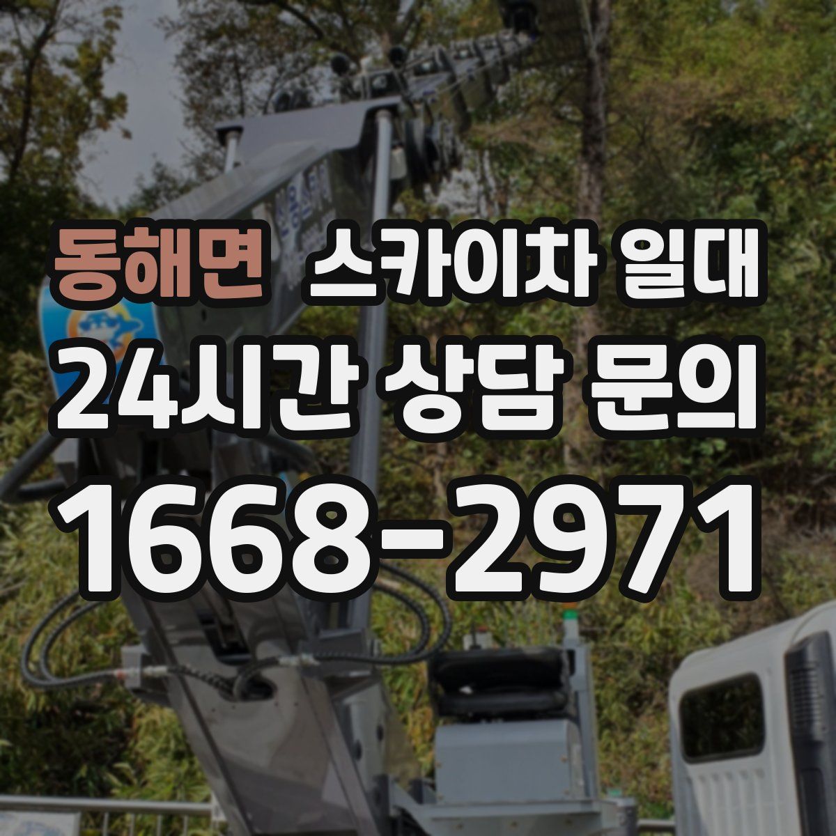 동해면 스카이차 일대