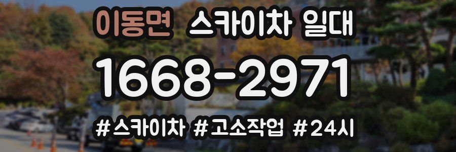 이동면 스카이차 일대