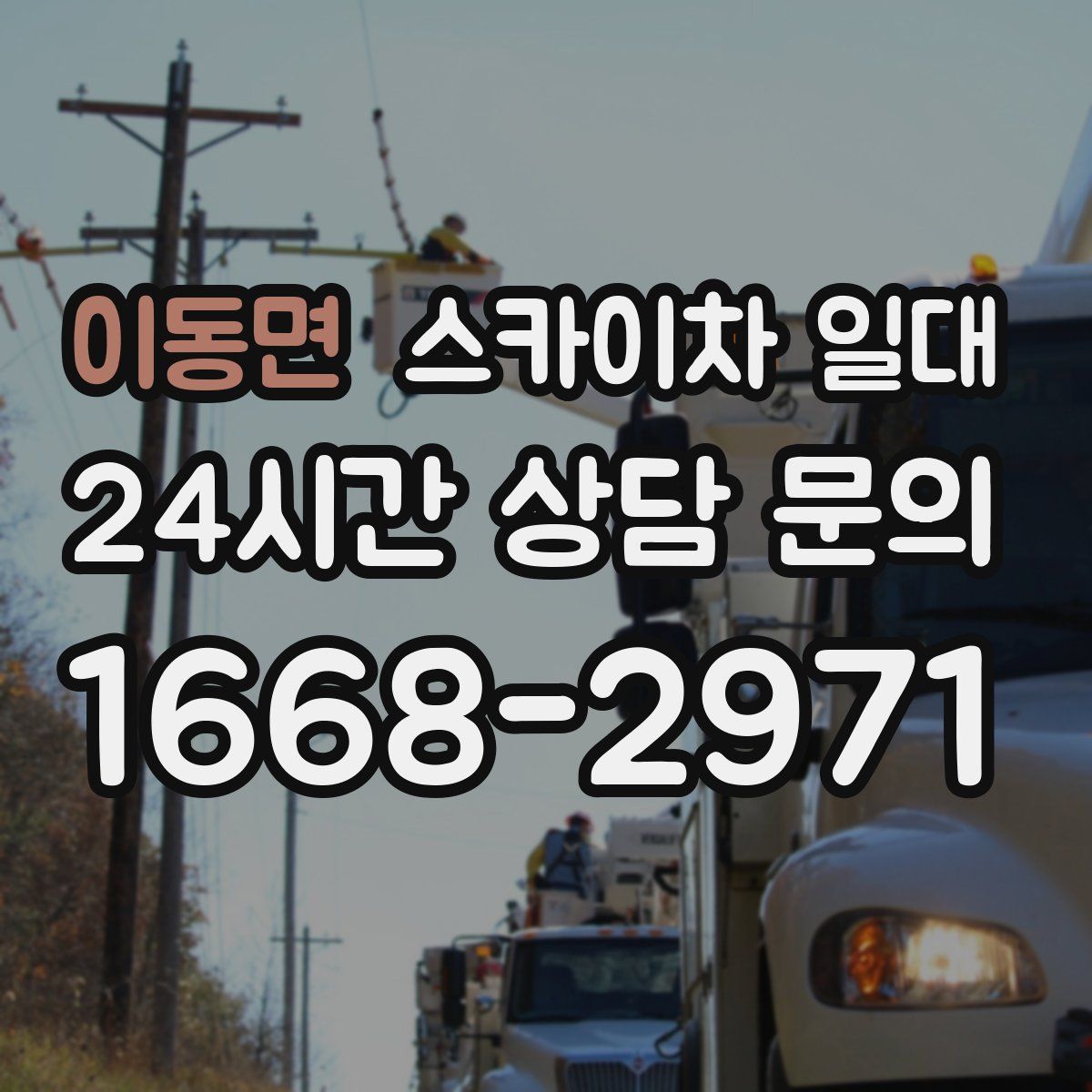 이동면 스카이차 일대