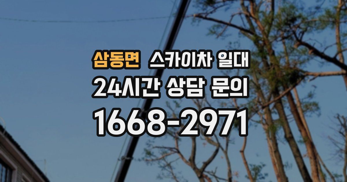 삼동면 스카이차 일대