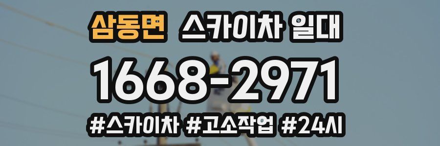 삼동면 스카이차 일대