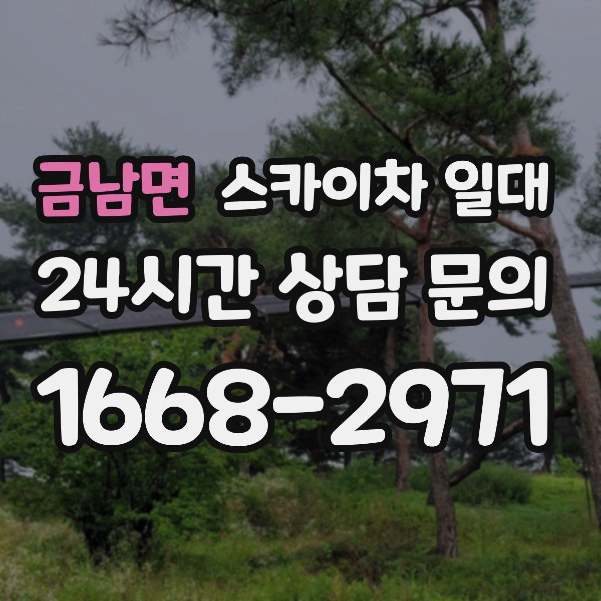 금남면 스카이차 일대