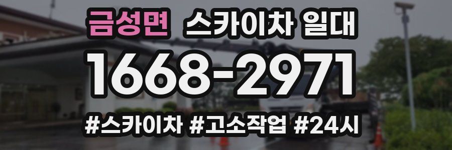 금성면 스카이차 일대