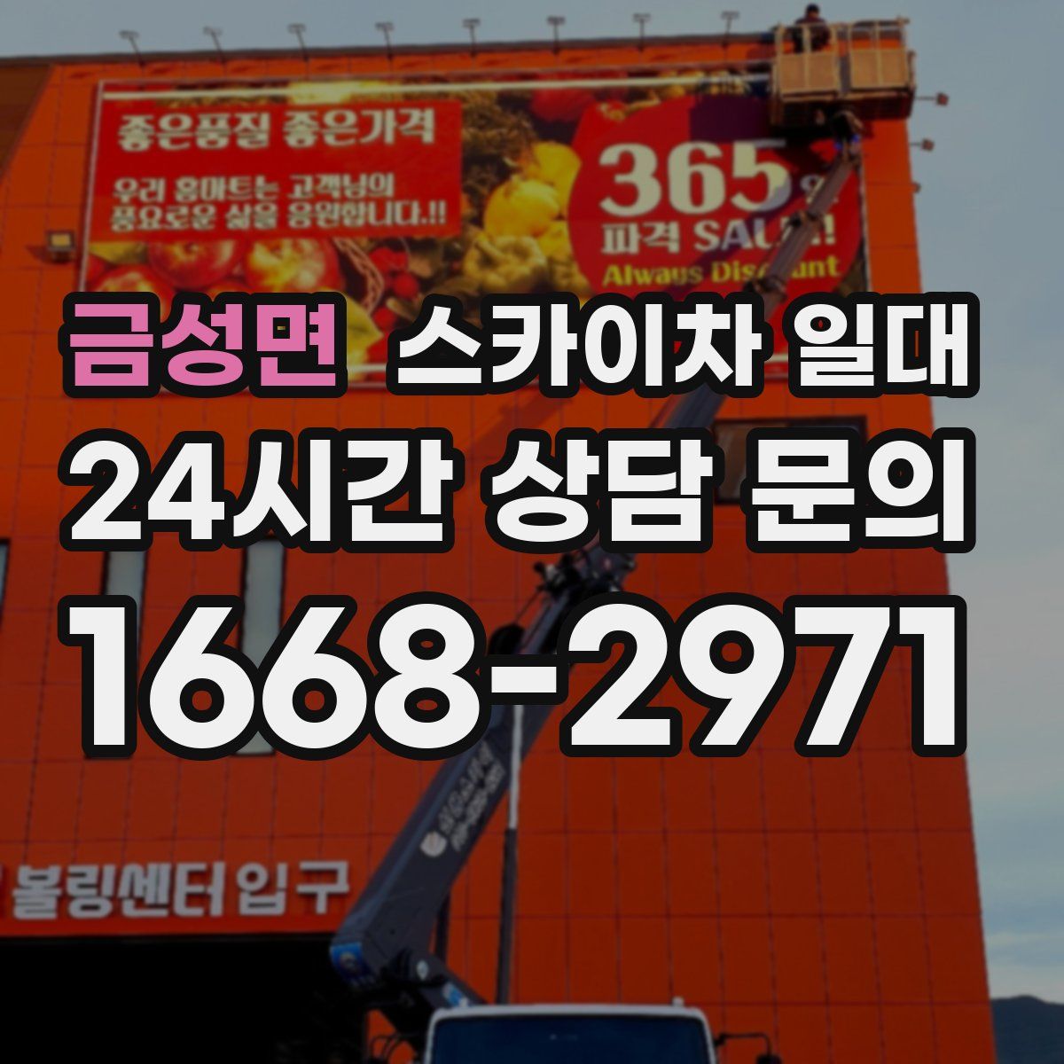 금성면 스카이차 일대