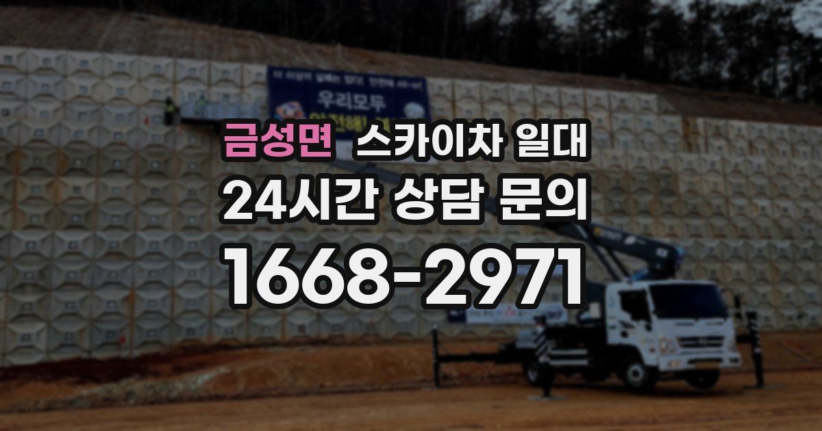 금성면 스카이차 일대