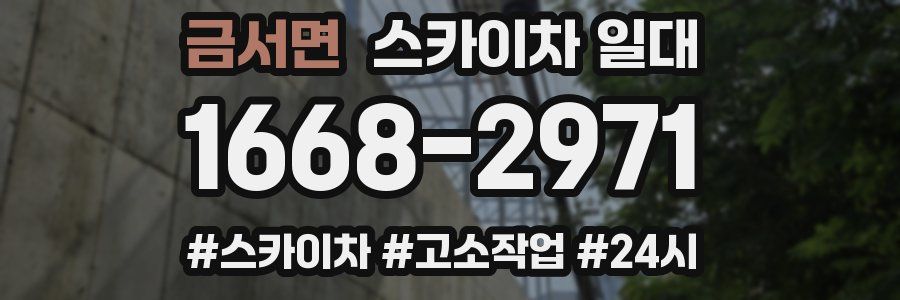 금서면 스카이차 일대