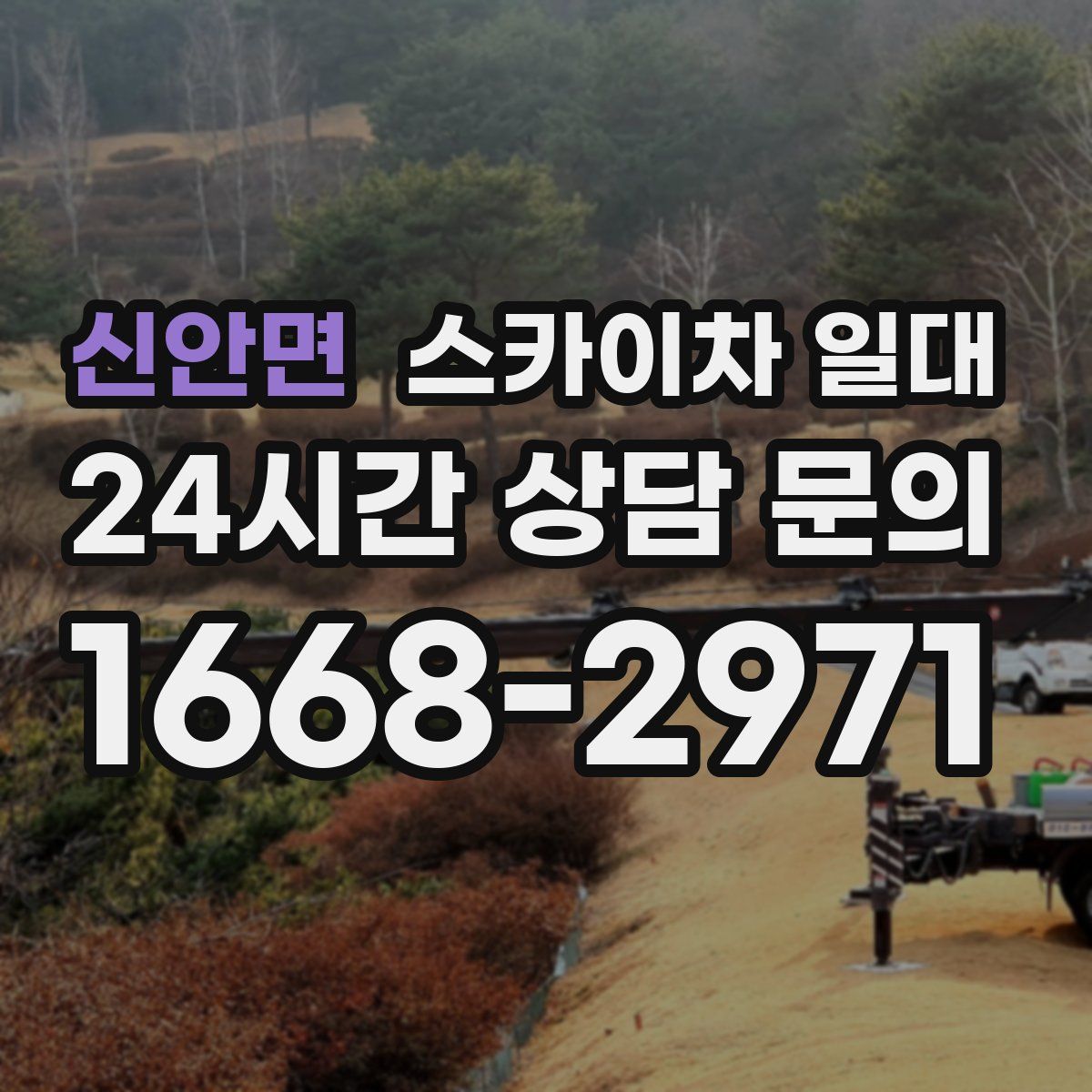 신안면 스카이차 일대